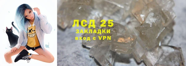 ПСИЛОЦИБИНОВЫЕ ГРИБЫ Абаза