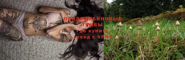 МДПВ Слюдянка