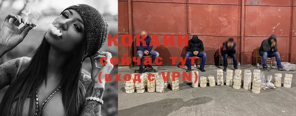 ПСИЛОЦИБИНОВЫЕ ГРИБЫ Абаза